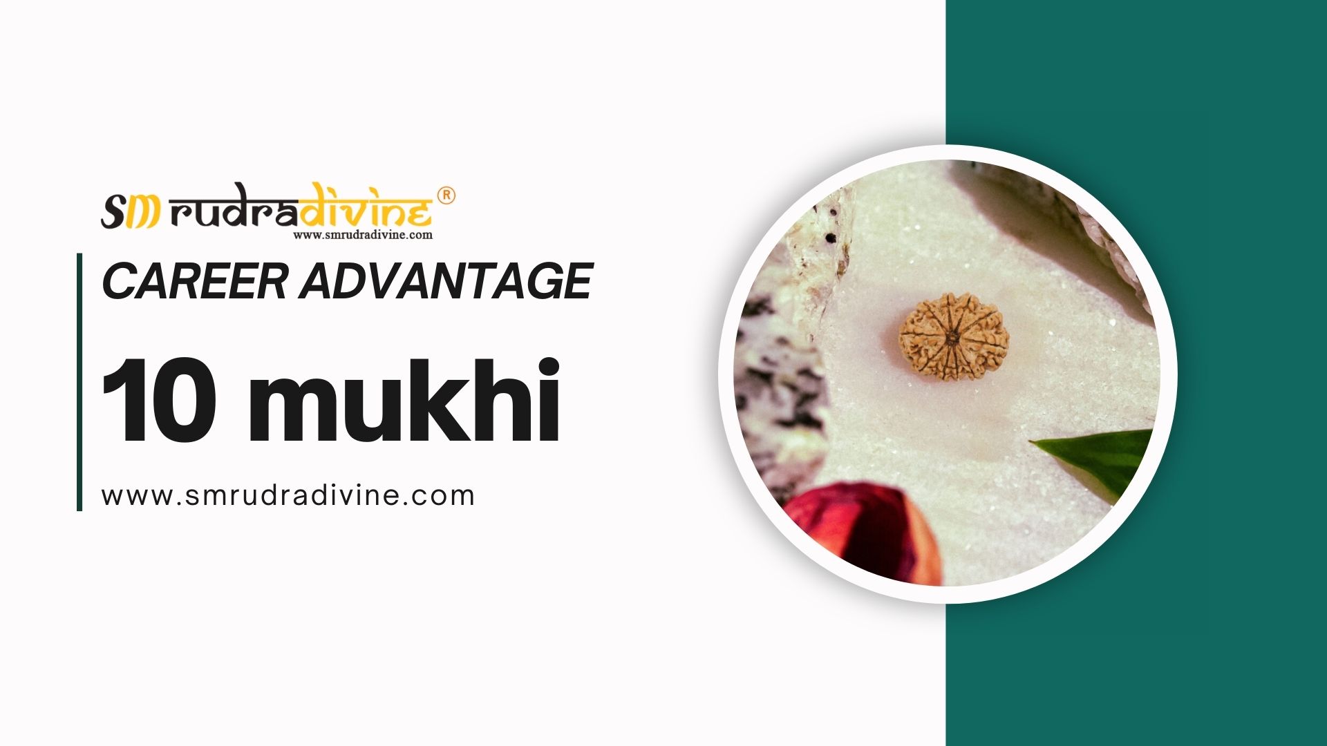 10 Mukhi Rudraksha for Professional Growth