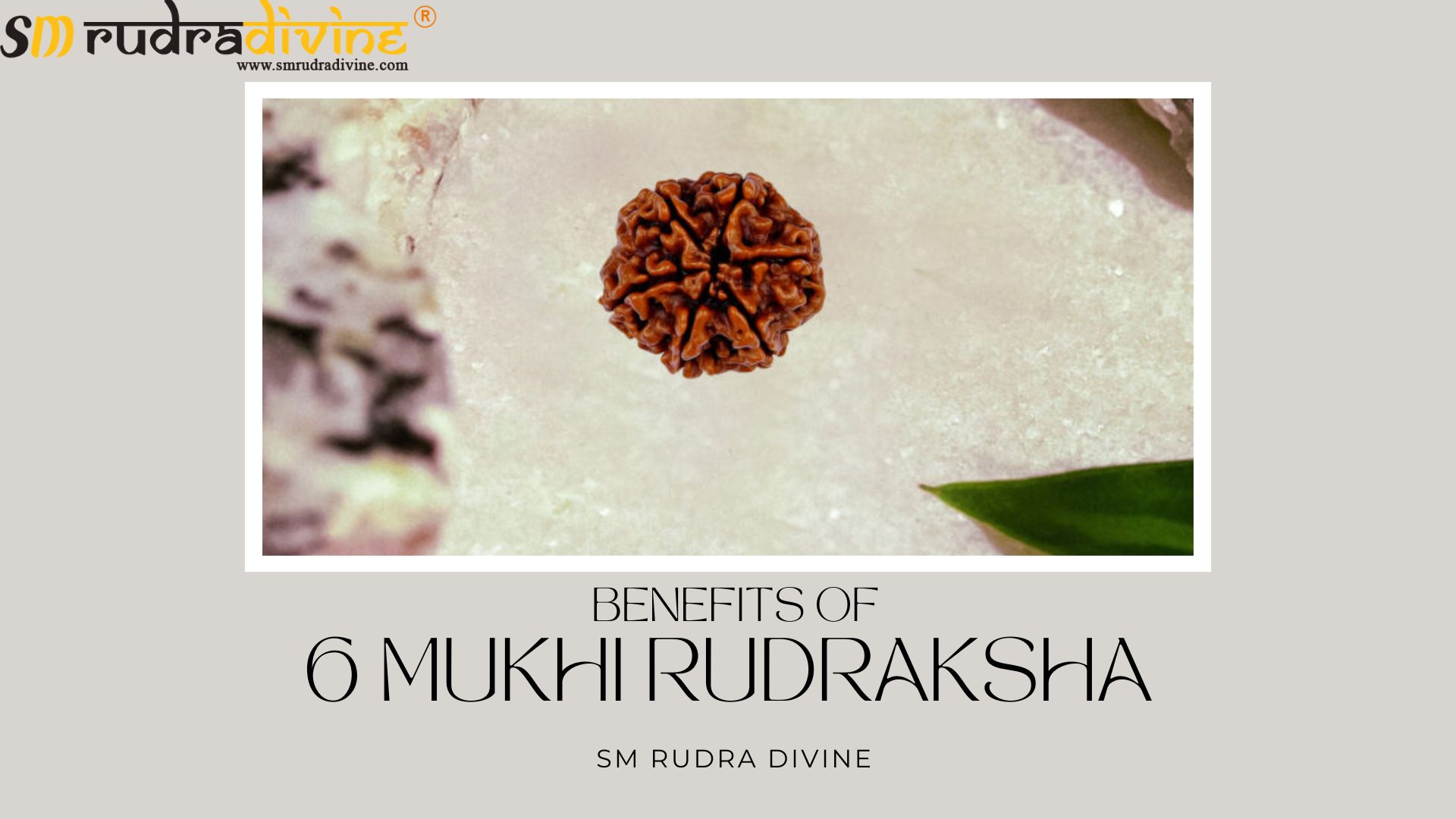 Benefits of 6 Mukhi Rudraksha for Men, Women, and Relationships by SM Rudra Divine