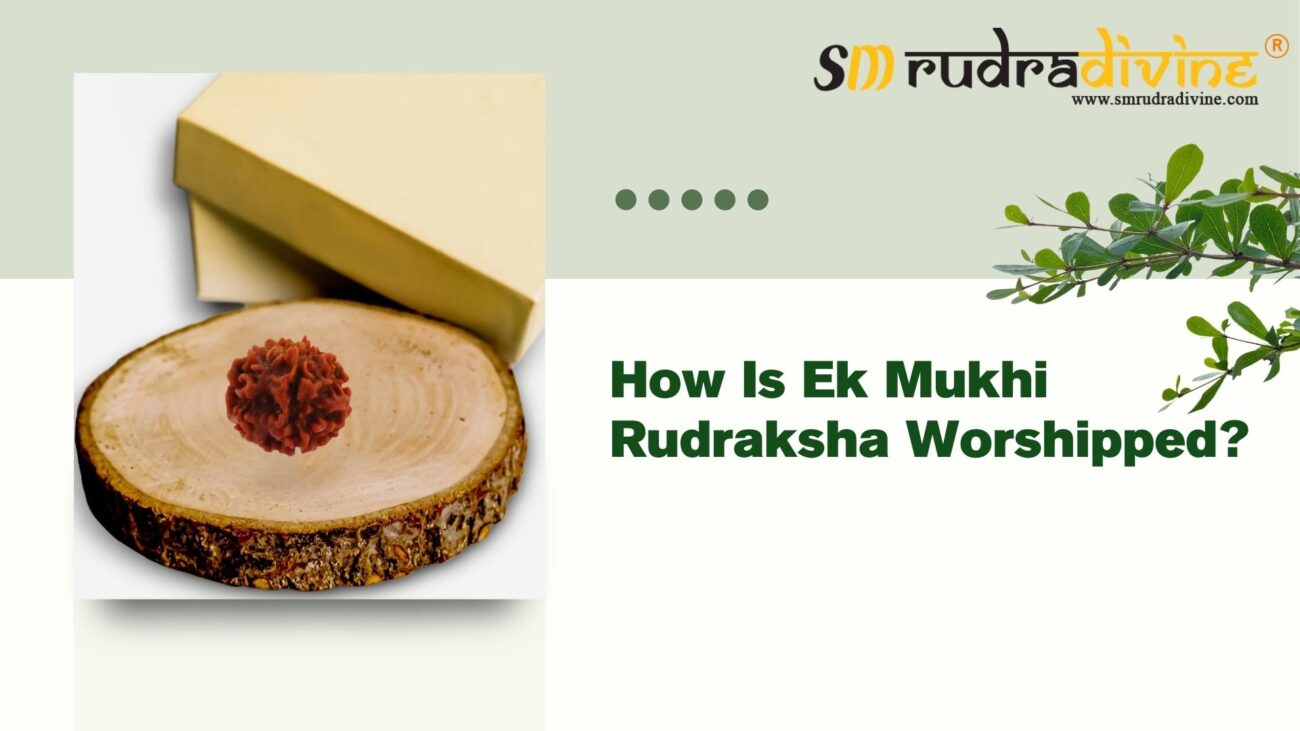 How Is Ek Mukhi Rudraksha Worshipped?