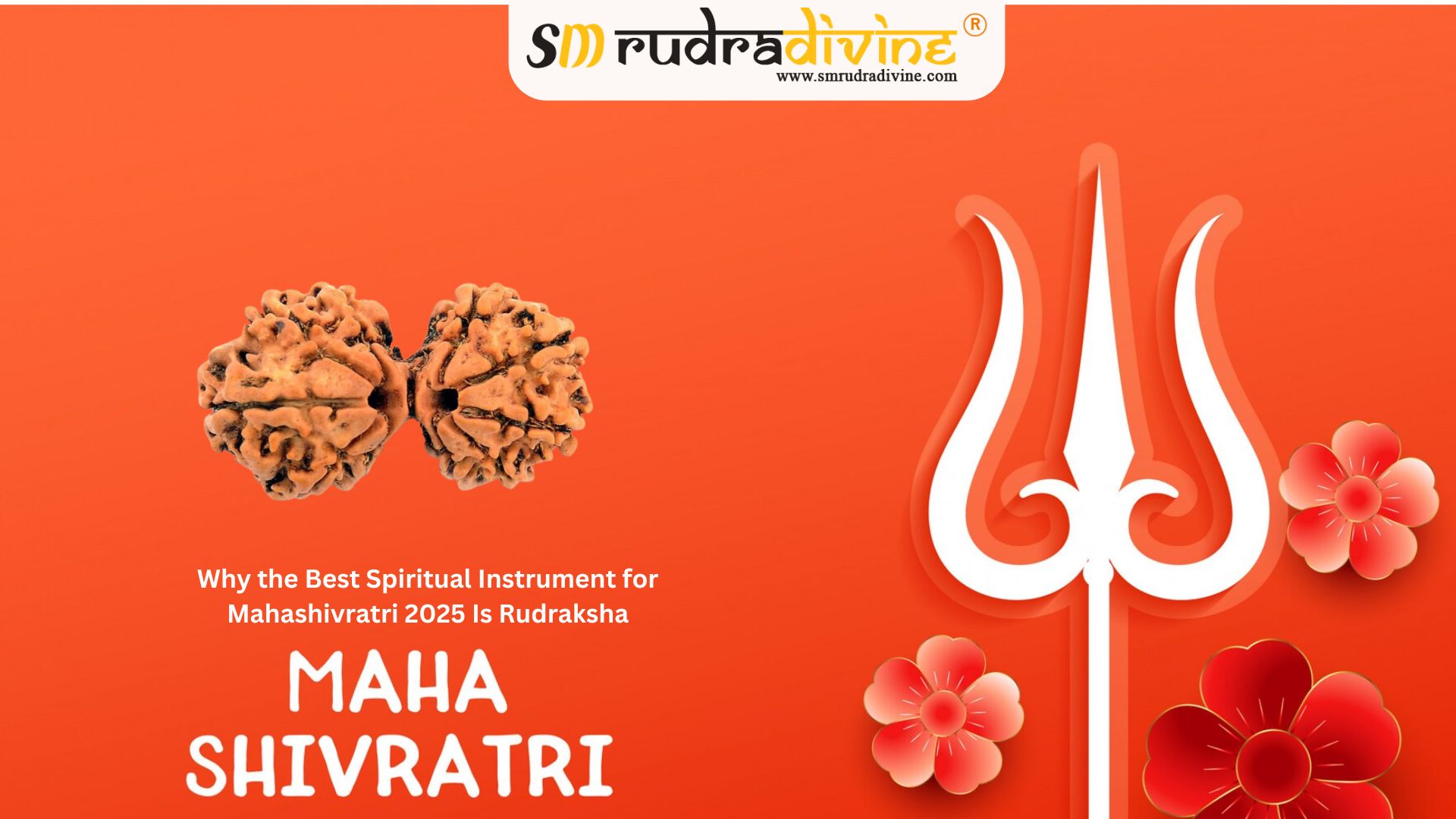 Why the Best Spiritual Instrument for Mahashivratri 2025 Is Rudraksha