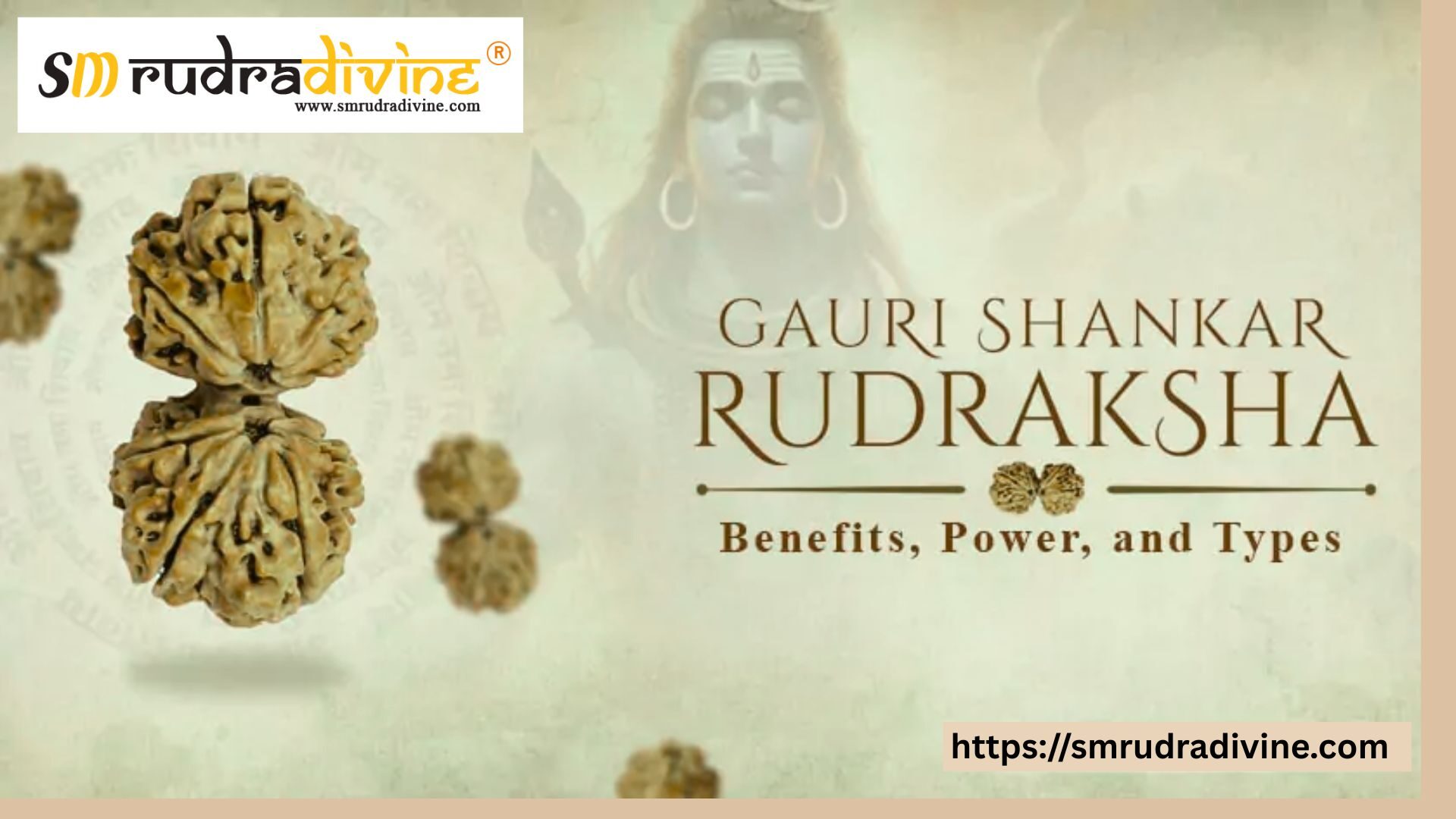 gauri shankar rudraksha, gauri shankar rudraksha benefits, gauri shankar rudraksha price, gauri shankar rudraksha benefits in hindi, gauri shankar rudraksha for marriage, rules for wearing gauri shankar rudraksha, original gauri shankar rudraksha price, benefits of gauri shankar rudraksha, original gauri shankar rudraksha, gauri shankar rudraksha original, gauri shankar rudraksha mala, gauri shankar rudraksha bracelet, gauri shankar rudraksha pendant, what is gauri shankar rudraksha, gauri shankar rudraksha ke fayde, how to wear gauri shankar rudraksha, gauri shankar rudraksha how many mukhi, 10 mukhi gauri shankar rudraksha benefits, gauri shankar rudraksha who can wear, benefits of wearing gauri shankar rudraksha