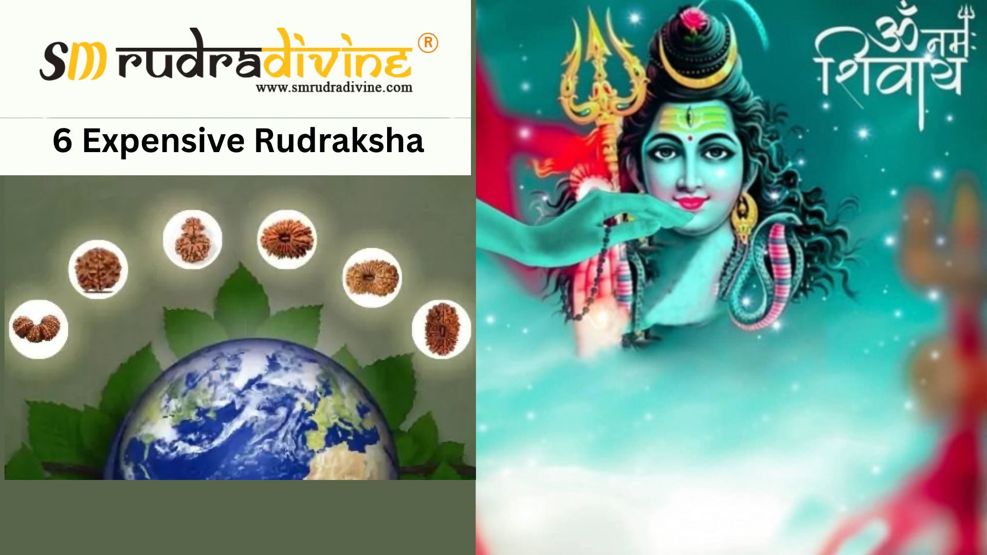 rare rudraksha, most rare rudraksha, rare rudraksha beads, which is rare rudraksha, which is the most rare rudraksha, very rare rudraksha, eight mukhi premium rare rudraksha, original rare rudraksha, gauri shankar premium rare rudraksha, rare rudraksha shiva lingam, sabse rare rudraksha kaun sa hai, rare rudraksha mala, rare rudraksha world, seven mukhi premium rare rudraksha, which is the rare rudraksha, three mukhi premium rare rudraksha, rare rudraksha price