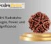 5 mukhi rudraksha benefits, 5 mukhi rudraksha, 5 mukhi rudraksha benefits in hindi, 5 mukhi rudraksha side effects, 5 mukhi rudraksha price, benefits of 5 mukhi rudraksha, 5 mukhi rudraksha mala, 5 mukhi rudraksha benefits for female, 5 mukhi rudraksha bracelet, 5 mukhi rudraksha original price, 5 mukhi rudraksha wearing rules, 5 mukhi rudraksha ke fayde, 5 mukhi rudraksha mantra, 5 mukhi rudraksha original, benefits of wearing 5 mukhi rudraksha, who can wear 5 mukhi rudraksha, how to wear 5 mukhi rudraksha, 5 mukhi rudraksha benefits for male, original 5 mukhi rudraksha, 5 mukhi rudraksha for which rashi