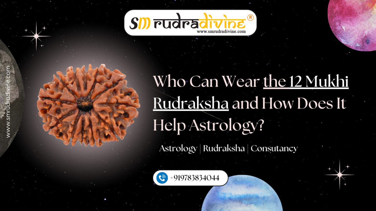 12 Mukhi Rudraksha and How Does It Help Astrology - SM Rudra Divine