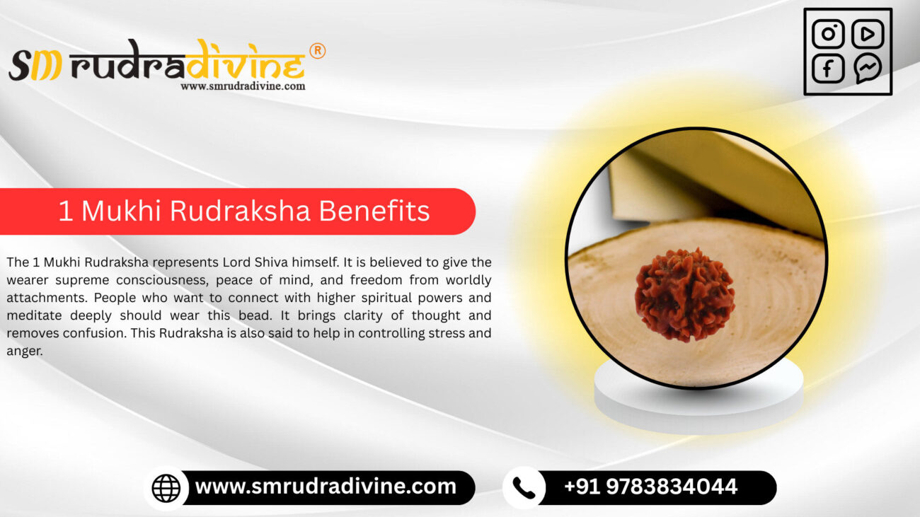 1 MUKHI RUDRAKSHA BENEFITS BY SM RUDRA DIVINE