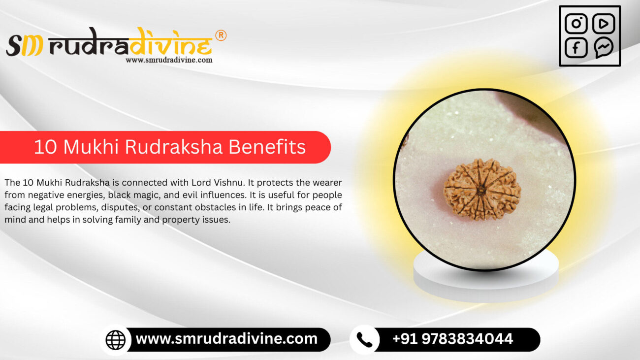 10 MUKHI RUDRAKSHA BENEFITS BY SM RUDRA DIVINE