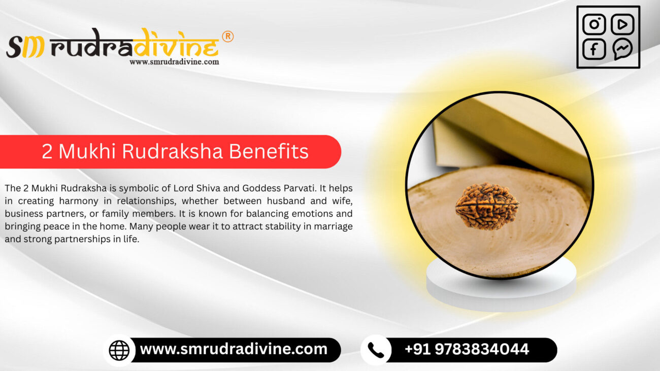 2 MUKHI RUDRAKSHA BENEFITS BY SM RUDRA DIVINE