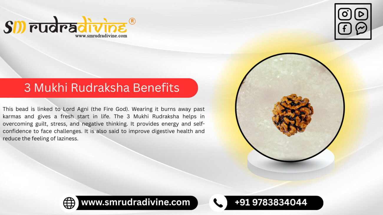 3 MUKHI RUDRAKSHA BENEFITS BY SM RUDRA DIVINE