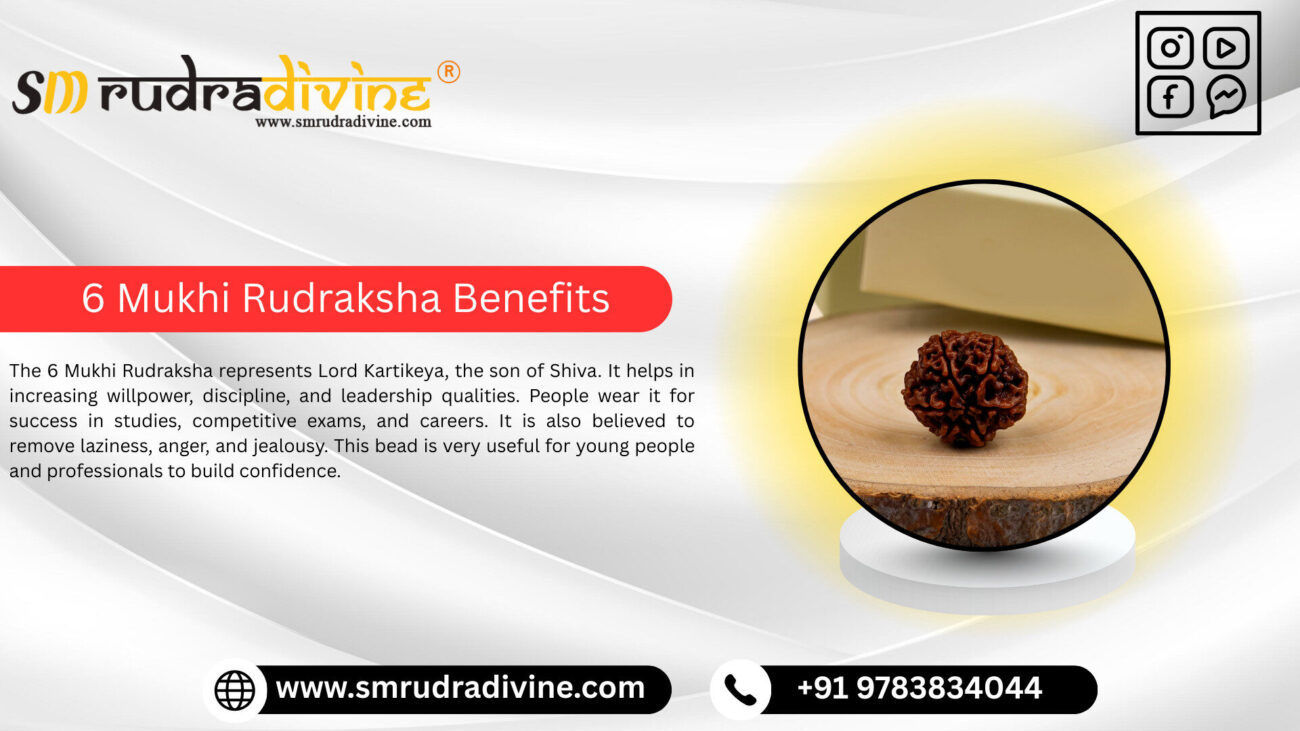 6 MUKHI RUDRAKSHA BENEFITS BY SM RUDRA DIVINE