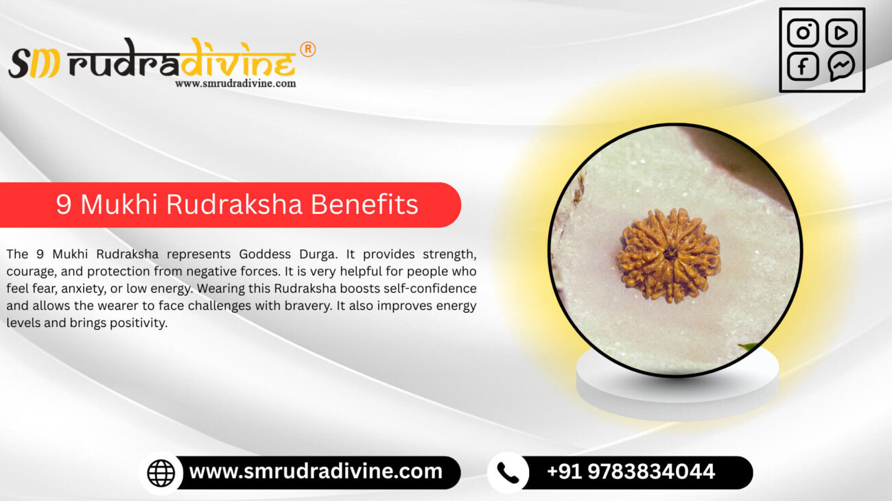 9 MUKHI RUDRAKSHA BENEFITS BY SM RUDRA DIVINE