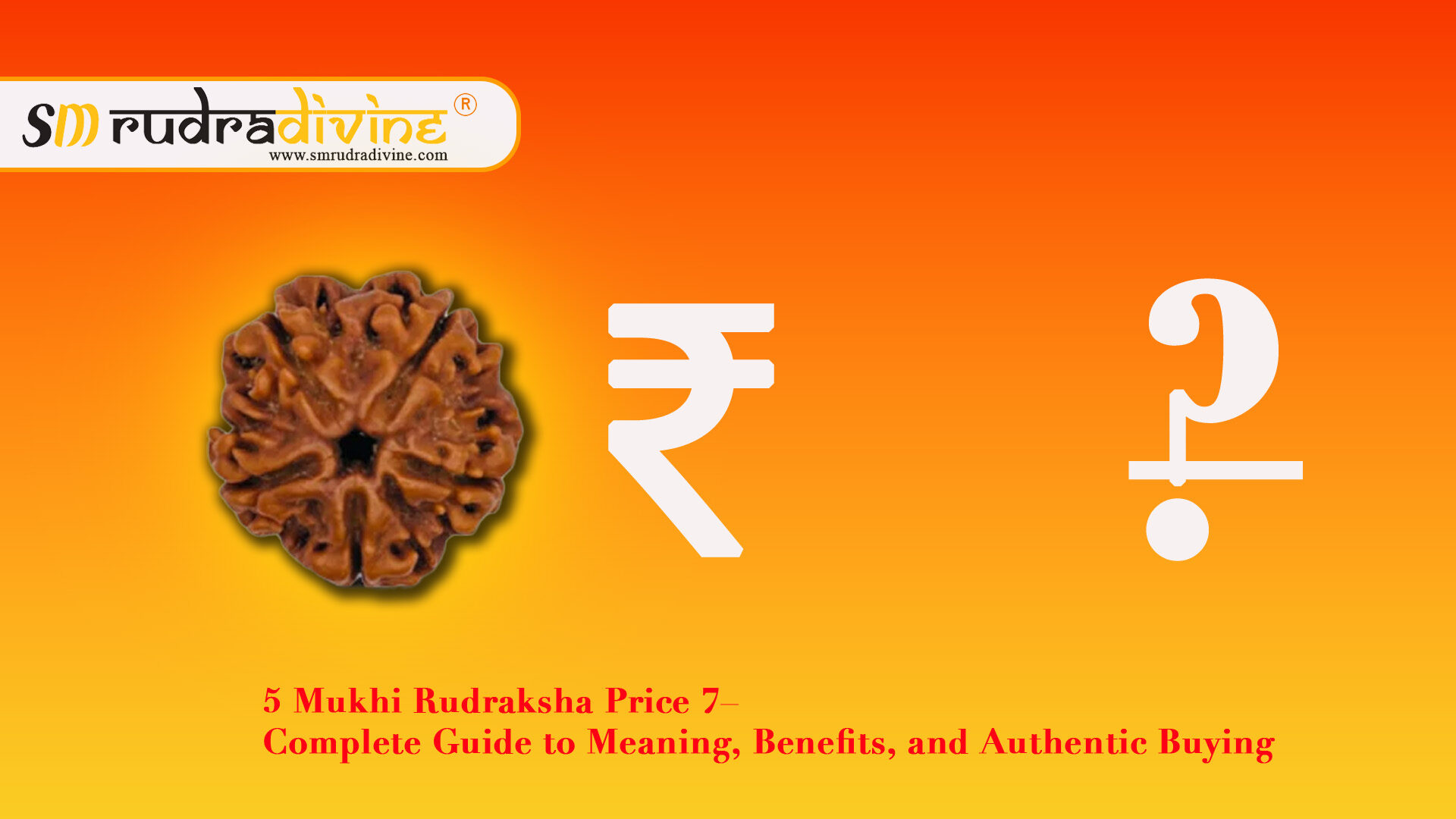 5 Mukhi Rudraksha Price – Complete Guide to Meaning, Benefits, and Authentic Buying
