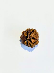 3 Mukhi